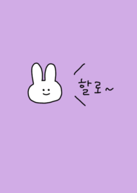 Hello_rabbit /purple(Korea)
