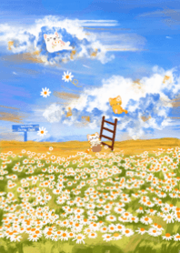Daisy field and daytime sky of the cat