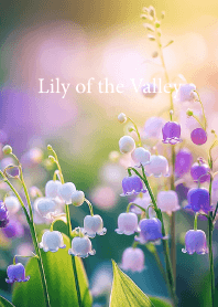 "Lily of the Valley vol.7" theme