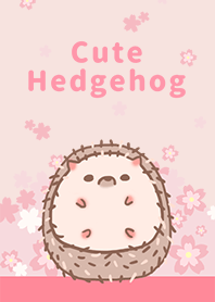 misty cat-Cute Hedgehog Sakura pink