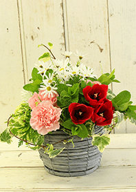 theme【flower】32