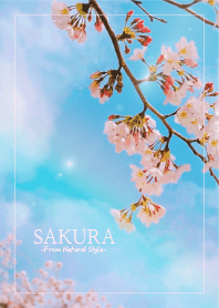SAKURA 10 / Natural Style