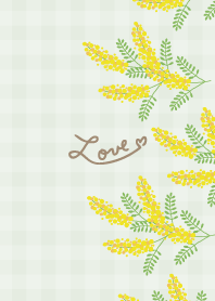 Mimosa Vertical14 from Japan