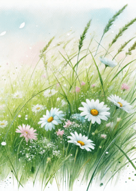 Cheerful Daisy 031!