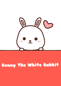 Bunny The White Rabbit