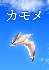 Kamome