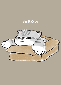 neko drawing3 / khaki