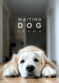WAITING DOG - golden retriever 01/C -