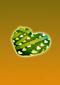 Lovely Yellow Present @ Winter Feature