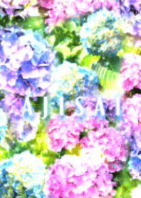 Ajisai - shiny