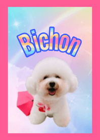 ビション　キラキラHappy 着せ替え☆