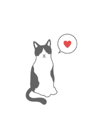 BLACK AND WHITE CAT - Gray -