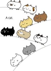 猫が。たくさん