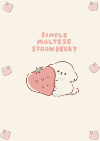simple maltese strawberry beige.