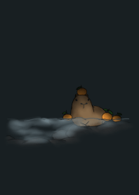 capybara and orange. hot spring. black