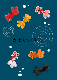 我養的泡泡眼金魚(神秘青藏色)