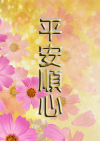 長輩專用大字主題