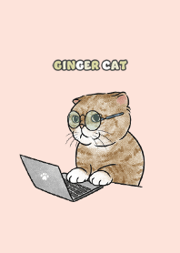 gingercat9 / peach pink .jp