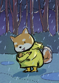 Shiba in raincoat