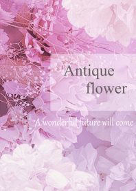 World of Antique Dried Flower11.