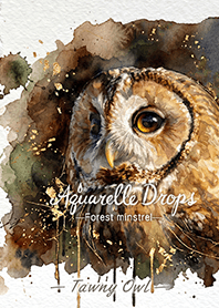 Aquarelle Drops - Tawny Owl -