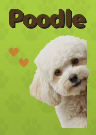 ธีมพุดเดิ้ลทอย Green 03