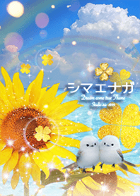 シマエナガとひまわり夏＊✨運気上昇⤴︎