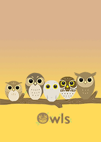 Owls