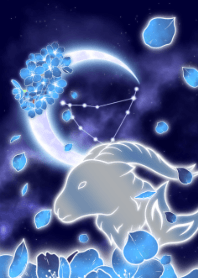 blue cherry blossoms Capricorn JPN