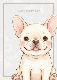 เฟรนช์บูลด็อก/ลายหินอ่อน/สีเทา