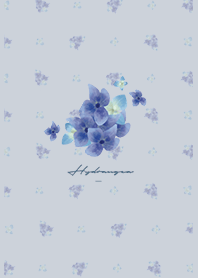 ベージュと青 : 紫陽花