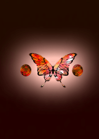 Orange butterfly dark