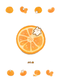橘子 & mo