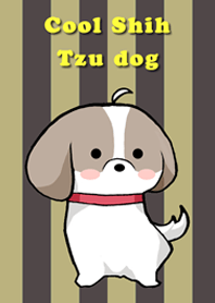 クールなシーズー犬　