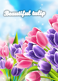 きれいなチューリップ