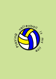 volleyball no.1