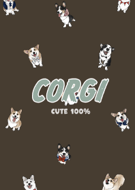 corgicorgi7 - chocolate