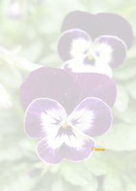 Flower Theme ver.Japan 37