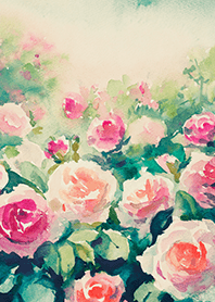 Beautiful rose flower(R4445)