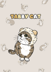 tabbycat7 / dark beige
