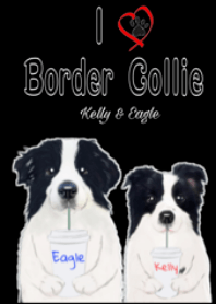 Kelly the Border Collie (BLK)