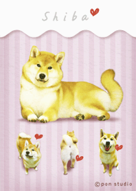Along with Shiba Inu also today(Theme)