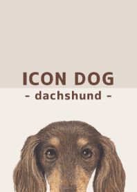 ICON DOG - dachshund - BROWN/12