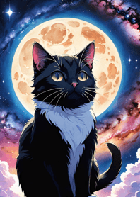 夜の月と星の猫 44E35e