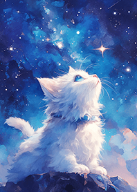 星空下藍寶石小奶貓❤️星空藍