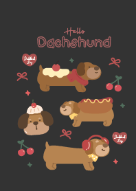 Dachshund Dog : Black