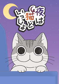 アニメ「夜は猫といっしょ」