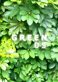GREEN-緑05