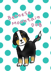 Bernese Mountain Dog Puppy Theme
