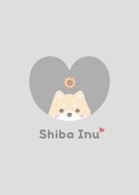 Shiba Inu2 Sunflower [gray]